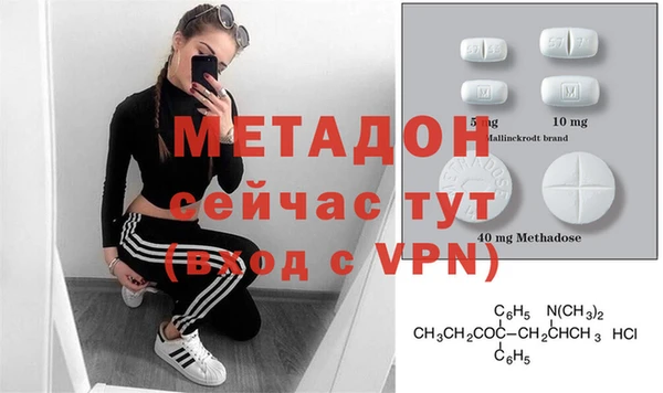 стаф Алзамай