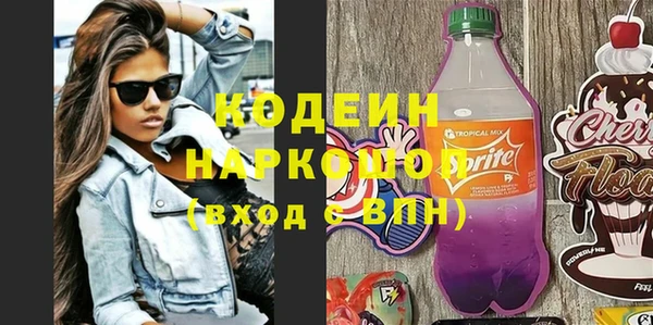стаф Алзамай