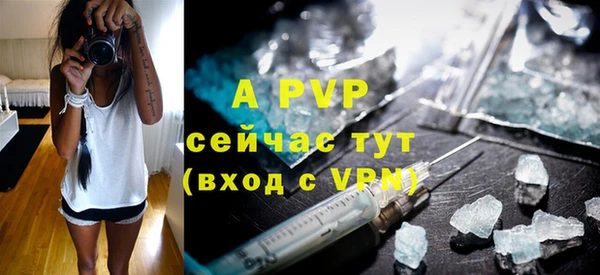 тгк Инта
