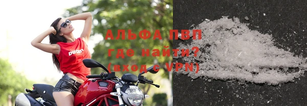 стаф Алзамай