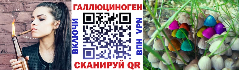 OMG сайт  Красноярск  Галлюциногенные грибы Magic Shrooms 