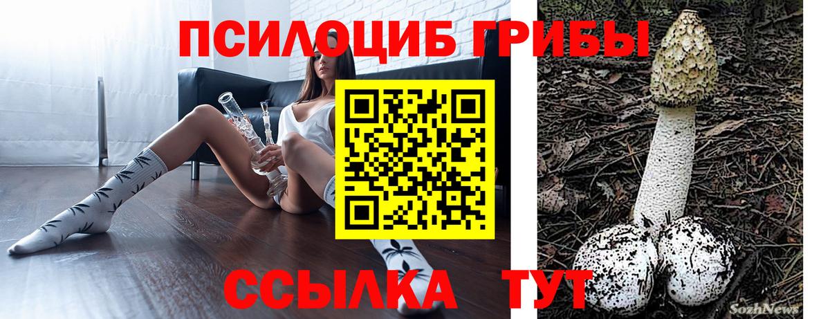 Красноярск  Псилоцибиновые грибы прущие грибы  Вход с VPN 